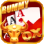 rummy earning icon